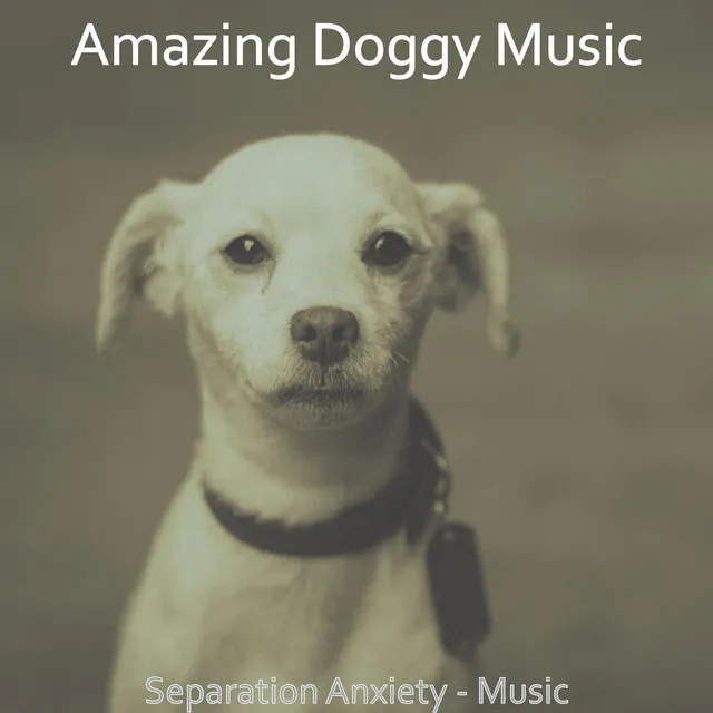 Amazing Doggy Music