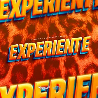 Experiente by Konddrake