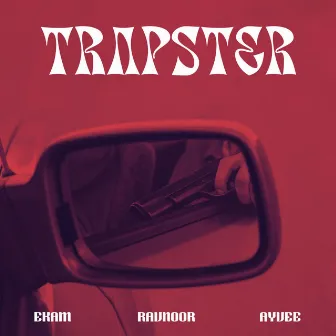 Trapster by Ravnoor