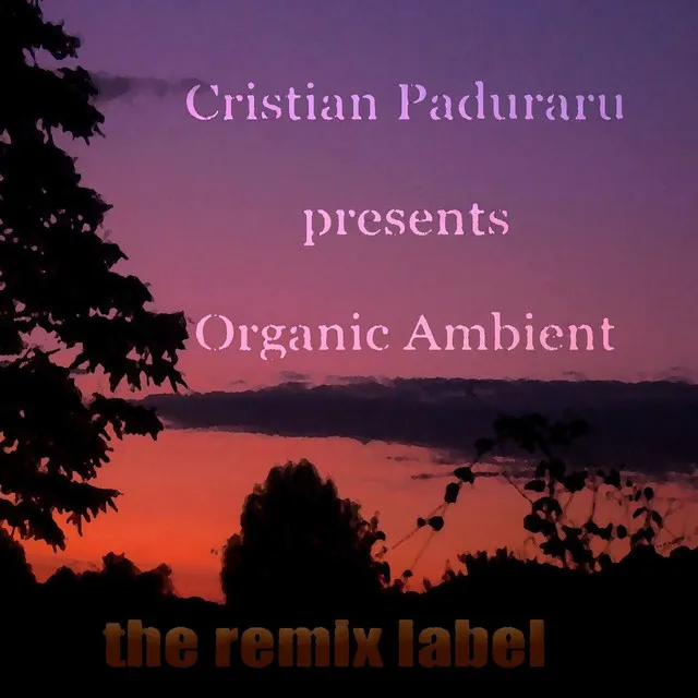 Organic Ambient - Various Artists Music Megamix