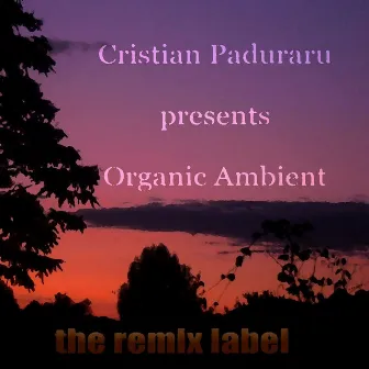 Organic Ambient (Progressive Chillout Music Album for Christmas Season) by Cristian Paduraru