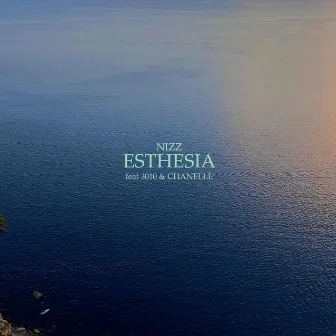 Esthesia by Nizz