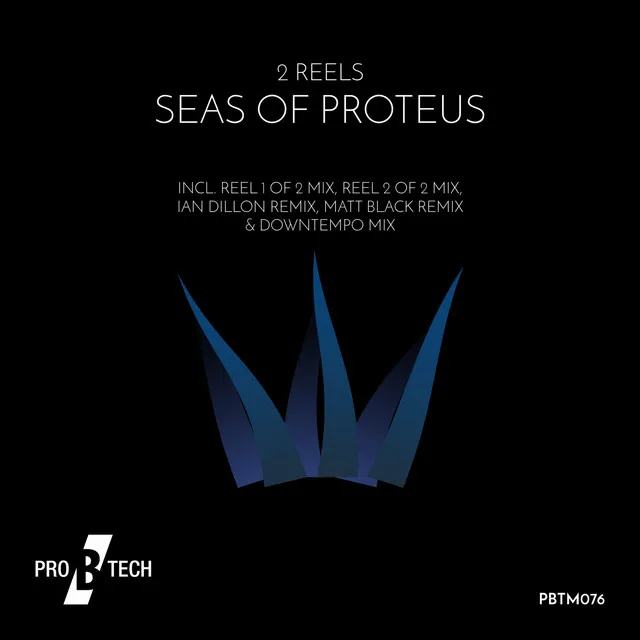 Seas Of Proteus - Reel 1 of 2's Original Mix