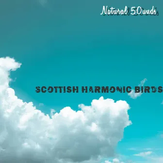 Scottish Harmonic Birds by Mr Chillax