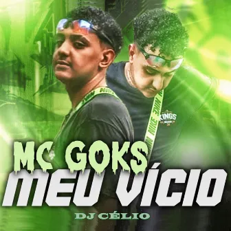 Meu Vicio by MC GOKS