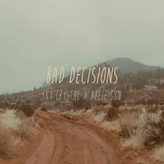 Bad Decisions by Sky Crystal