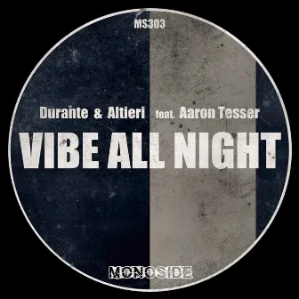 Vibe All Night by Aaron Tesser