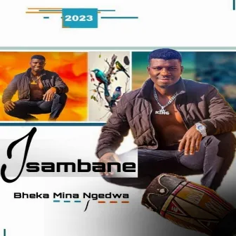 Bheka mina ngedwa by Isambane