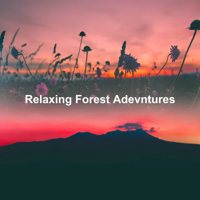 Relaxing Forest Adevntures