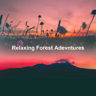 Relaxing Forest Adevntures by Relaxing Forest Sounds