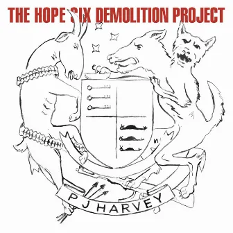 The Hope Six Demolition Project by PJ Harvey