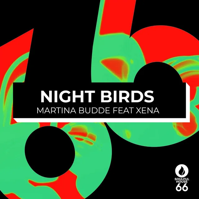 Night Birds - Extended Mix