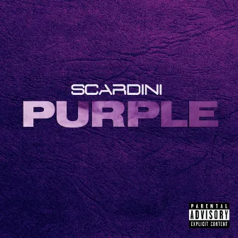 Purple by Scardini