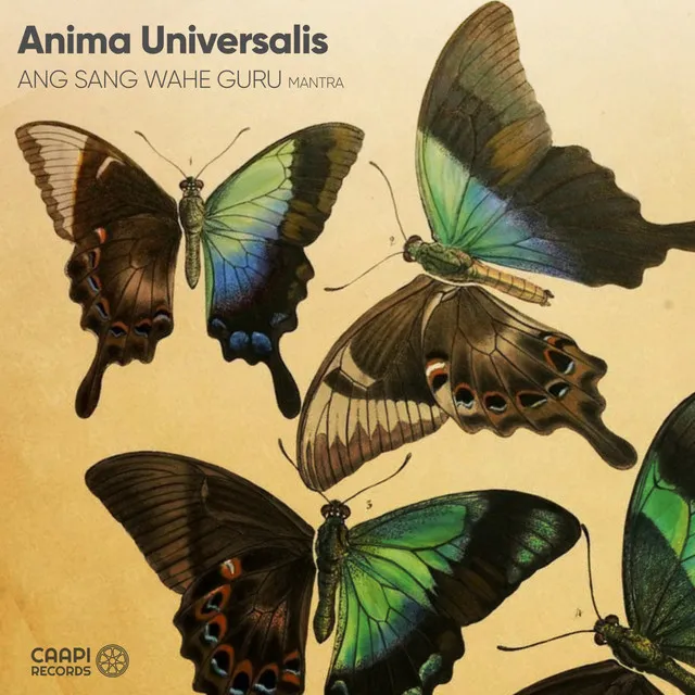 Anima Universalis