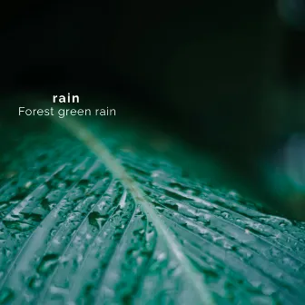 Forest green rain by rain