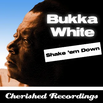 Shake 'em Down by Bukka White