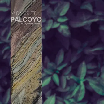 Palcoyo by Aydn Britt