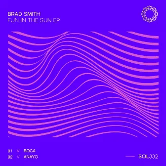 Fun In The Sun EP by Brad Smith