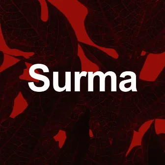 surma by Arun Topal