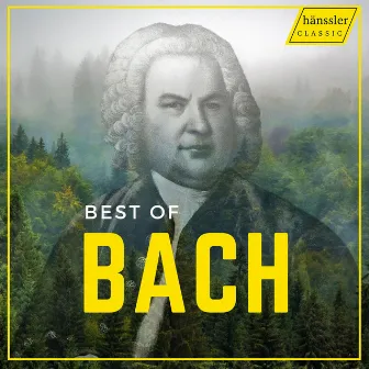 Best Of Johann Sebastian Bach by Angelika Nebel