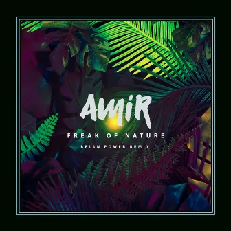 Freak of Nature (Brian Power Remix) by AMiR