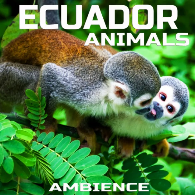 Animal Planet Ecuador