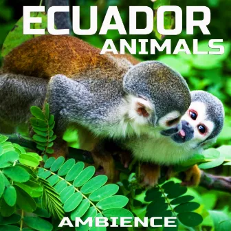 Ecuador Animals Ambience by Ecuador Animals Ambience