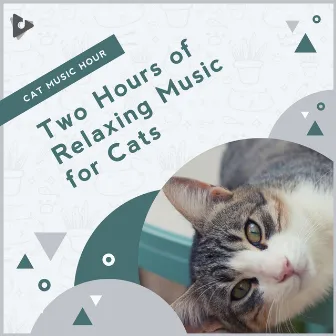 2 Hours of Relaxing Music for Cats by Kitten Music