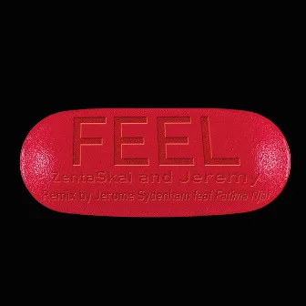 Feel by Jeremy Reinhard