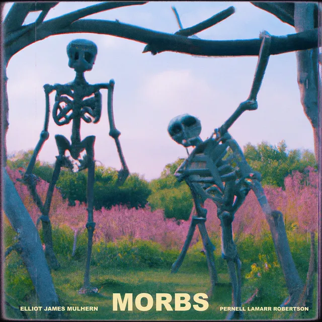 MORBS