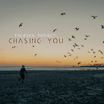 Chasing You by Falaska Project