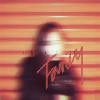 Stupid In Love by Fancy