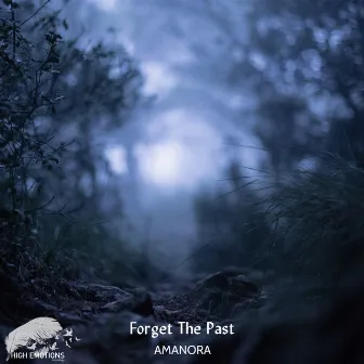 Forget the Past by AMANORA