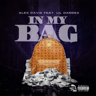 In My Bag by Alex Davis