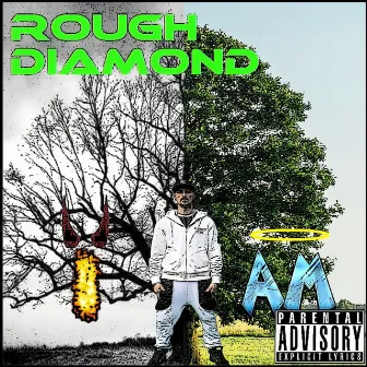 I AM by Rough Diamond