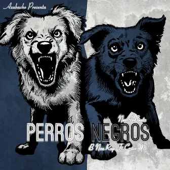 Perros Negros by B NOA RAP