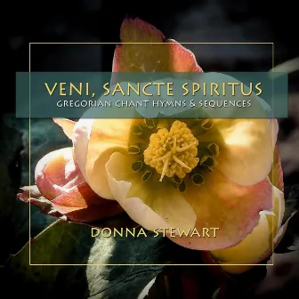 Veni, Sancte Spiritus: Gregorian Chant Hymns & Sequences by Donna Stewart