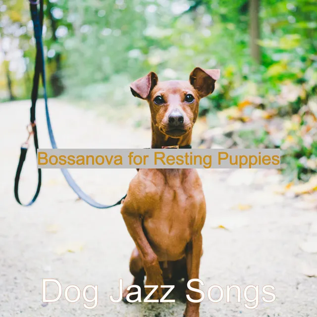 Bossanova for Resting Puppies