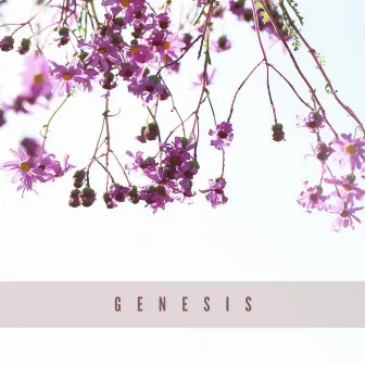 Genesis by Anna Coen