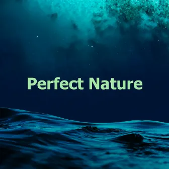 Perfect Nature by Weather FX