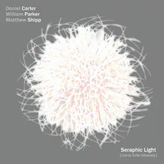 Seraphic Light by Daniel Carter