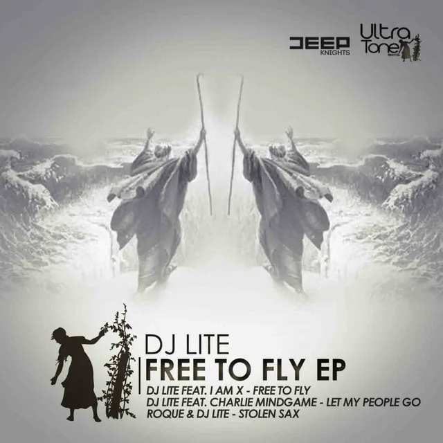 Free To Fly - Original Mix