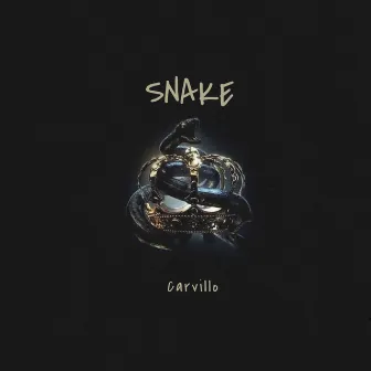 Snake by Carvillo