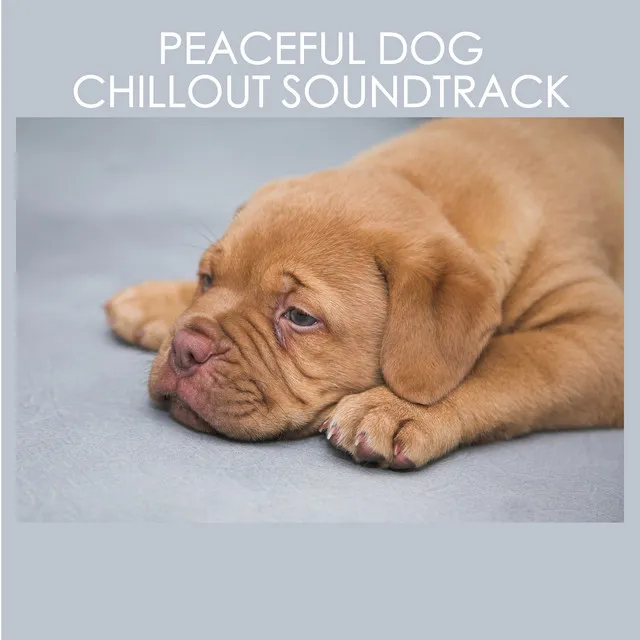 Peaceful Dog Chillout Soundtrack