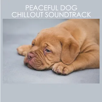 Peaceful Dog Chillout Soundtrack by Dog Chillout Zone