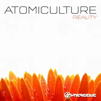 Reality by Atomiculture