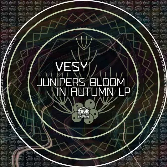 Junipers Bloom In Autumn LP by Vesy