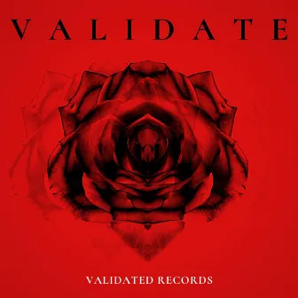 Validate by Validated Records