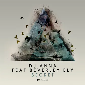 Secret by Dj Anna