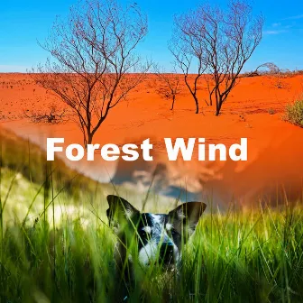 Forest Wind by Forest Wind Sounds